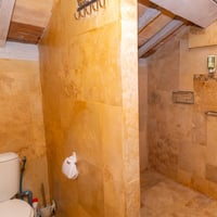 Van Gogh Shower